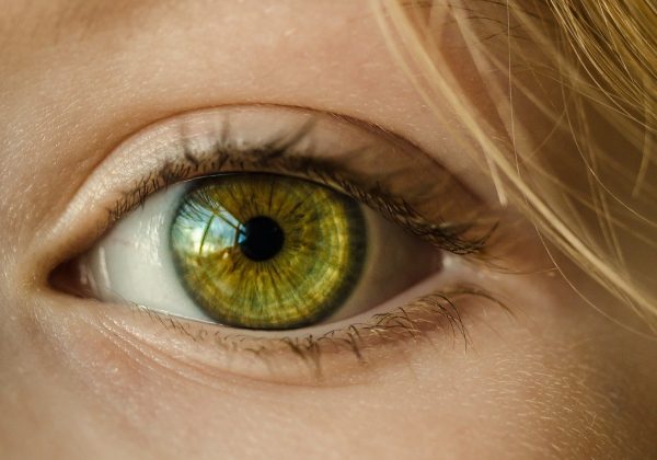 ETICHETTATURA OBBLIGATORIA AMBIENTALE DEGLI IMBALLAGGI