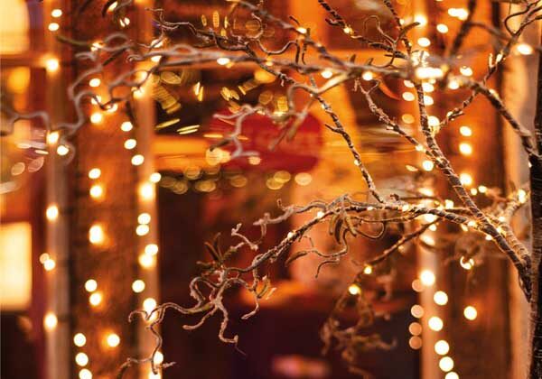CHRISTMAS GUIDE